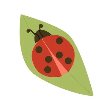 Pretty red bug with black dots on a green leaf Illustrazione stock