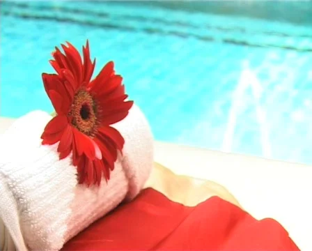 Pretty Red Flower By The Side Of The Pool 스톡 동영상 503380