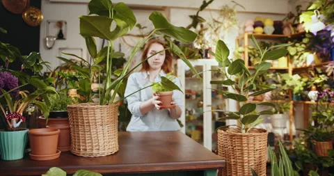 A pretty red-haired shopkeeper or worker stands behind the counter and holding a Vídeos de archivo 247842319