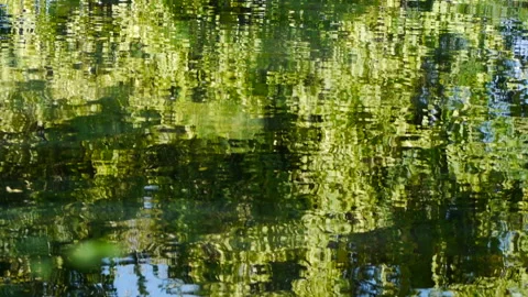 PRETTY REFLECTION IN WATER Stock Footage 185666470
