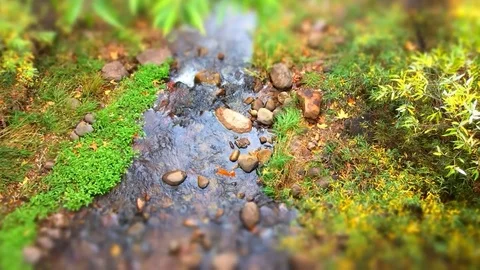 Pretty river in the fall Stock Footage 88629230