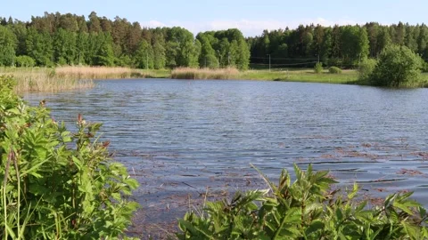 Pretty small lake. Video stock 247738582