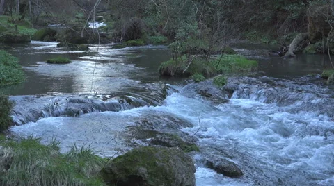 A pretty stream passes over some small rapids Stock Footage 40880470