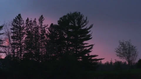 Pretty Sunset trees Stock Footage 165693000