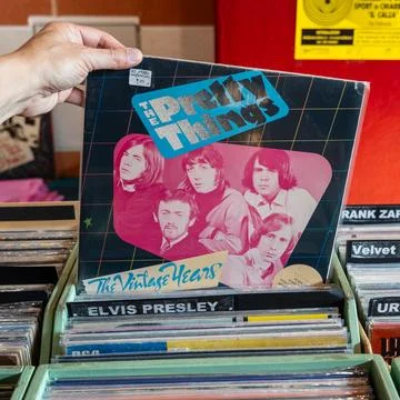 The Pretty Things Foto stock