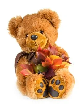Pretty toy teddy bear with bouquet of autumn leaves Stock Photos