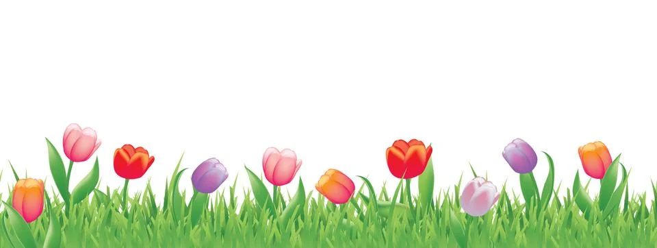 Pretty tulips for spring Stock Illustration