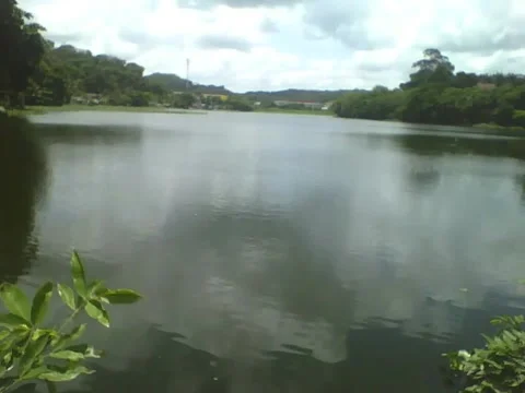 Pretty view of weir next the leaves on bridge, beautiful natural landscape Stock Footage 163679915