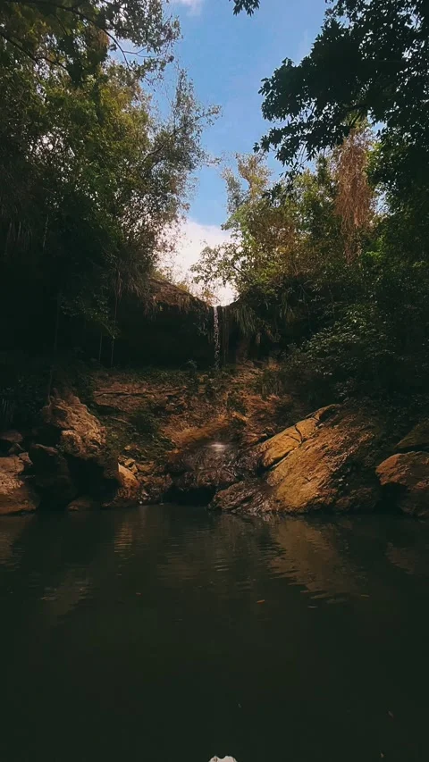 Pretty Waterfall in the forest, water, river, nature, tree, landscape Stock Footage 237018317