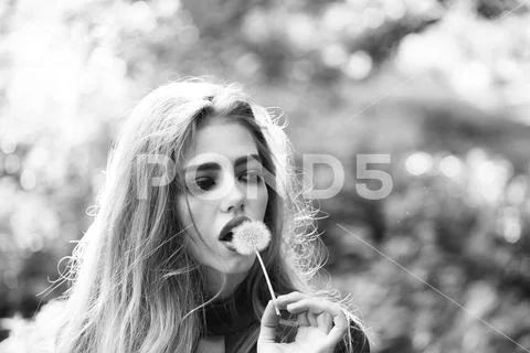 Pretty woman with dandelion Stock Photos