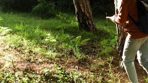 Pretty woman looking at the map navigation in forest. Stock Footage 135297057