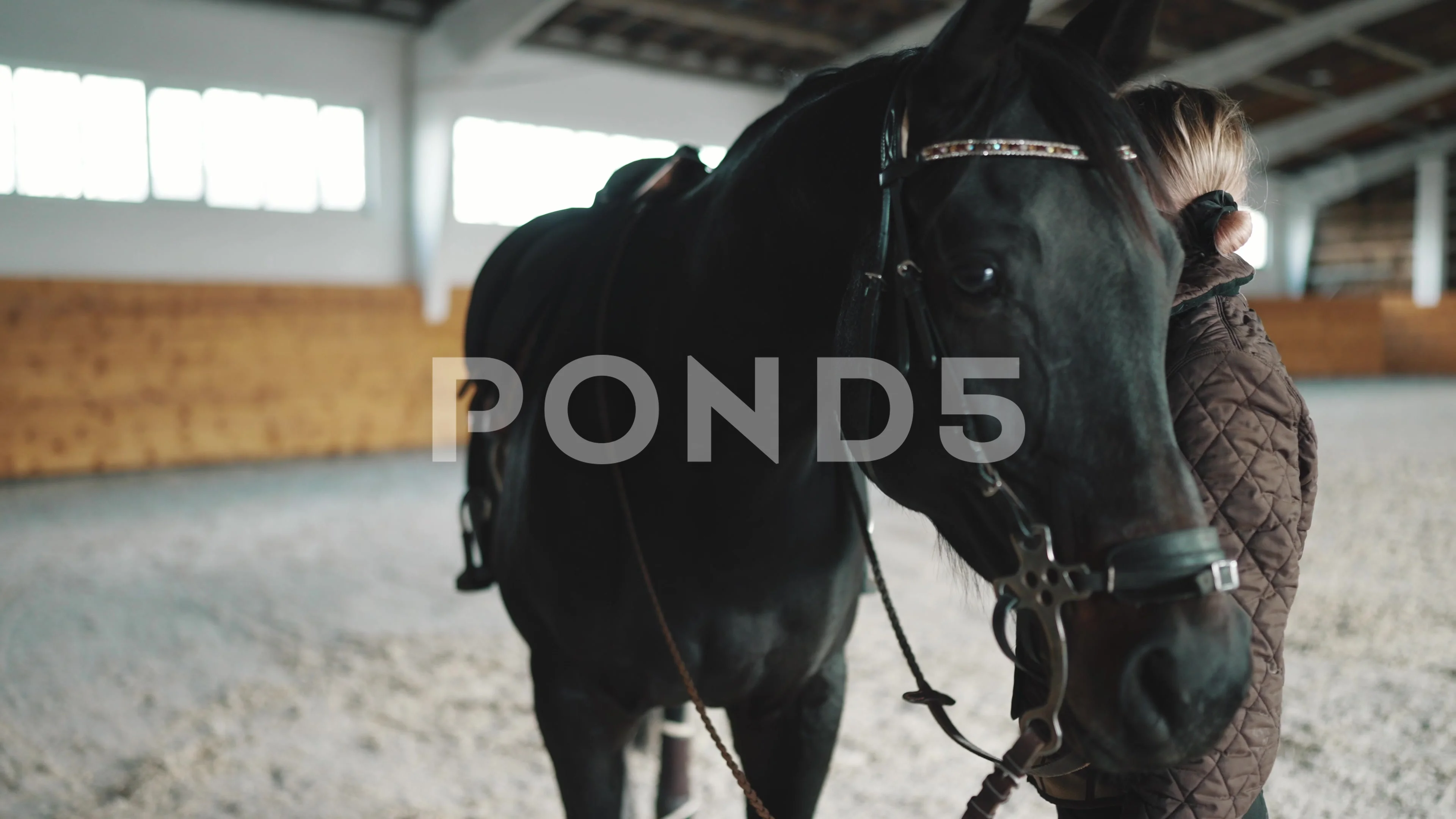 Pretty woman rider stroking a horse and talking