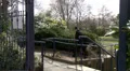 Pretty woman walks along crying in park HD Footage