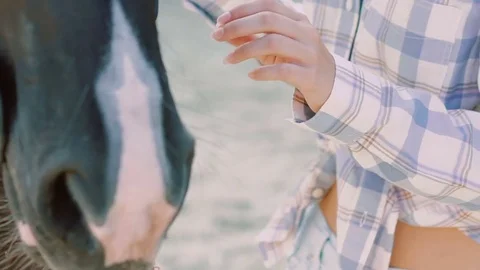 Pretty young girl walks to friendly horse and caresses it nose. Slowly Stock Footage