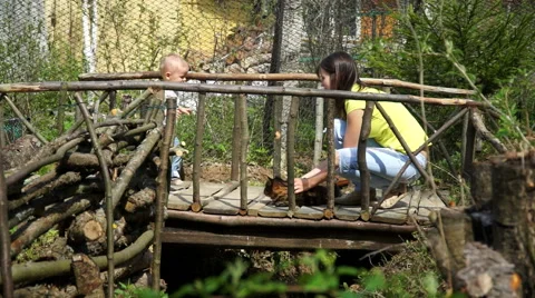 Pretty young mother with her cute little son playing on the bridge Stock Footage 63486447