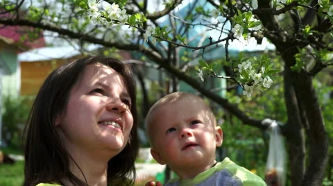 Pretty young mother with a young son admiring the flowering tree Stock Footage 63482865