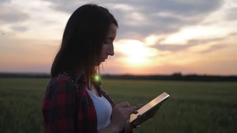 Pretty young woman with tablet computer working in wheat field at sunset. The Video stock 111816853