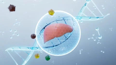 Prevent viruses, prevent bacteria, protect against liver infections Video stock 327634145