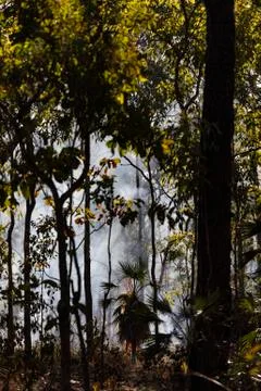 Preventative patch burning fire in tropical forest, Kakadu National Park, Fotos de archivo