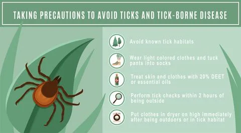 Preventing tick bite, precaution lyme disease. Vector illustration of cartoon 스톡 일러스트