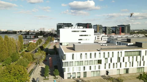 Prey Bird Flying Over Rooftop Of Buildings In University Of Gdansk - 스톡 동영상 143916188