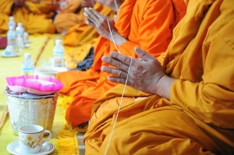 Preying Stock Photos