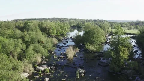 Price for 4K video Stock Footage 150136922