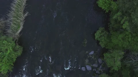 Price for 4K video Stock Footage 154273643