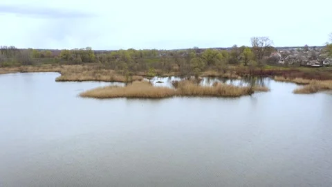 Price for HD video Stock Footage 147967690