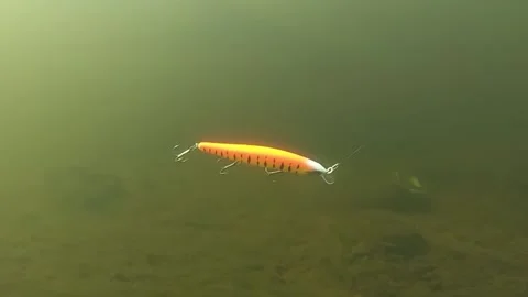 Price for HD video Stock Footage 194502953