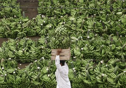 Prices of basic commodities increase in Pakistan as federal budget is released,  Stock Photos