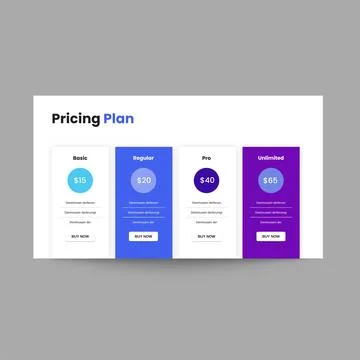 Pricing Plan Slide Presentation Template for Business Package Stock Illustration