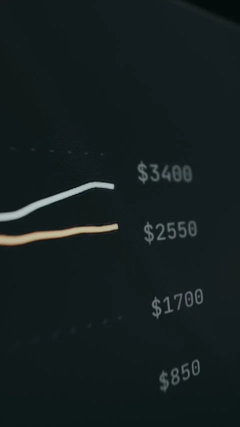 Pricing table from a financial application Stock Footage 330666642