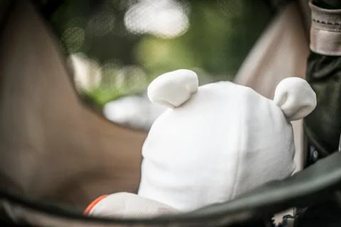 Prick-ears Stock Photos