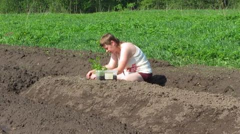 Prick out Video stock 23693207