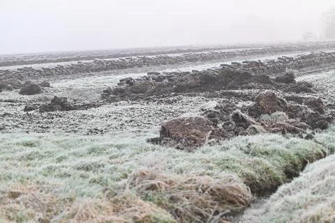 Pricked peat on a frosty foggy winter morning Stock Photos
