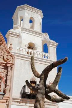 Prickly cactus posing on the white building Stock Photos