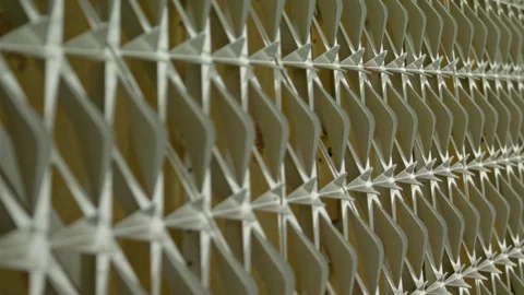 Prickly defensive paneling, tracking shot, medium shot Stock Footage 104460785