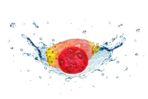 Prickly fig splash water Stock Photos