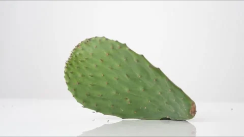 Prickly Pear Cactus Bouncing Slow Motion White Tabletop Closeup Macro Food Stock Footage 335004721