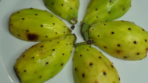Prickly pear cactus. C0393 Stock Footage 255614978