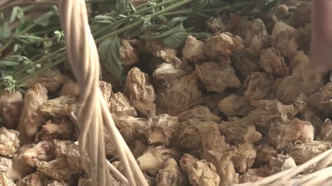 Prickly pear flowers in a wicker basket with the hands of an old woman 스톡 동영상 123799679