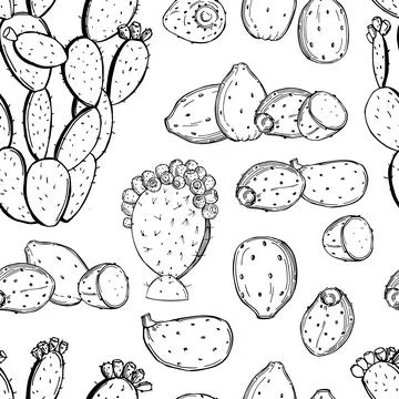 Prickly pear fruit. Edible cactus.Vector   pattern. Stock Illustration