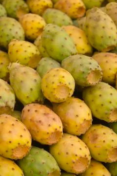 Prickly pear fruit Stock Photos