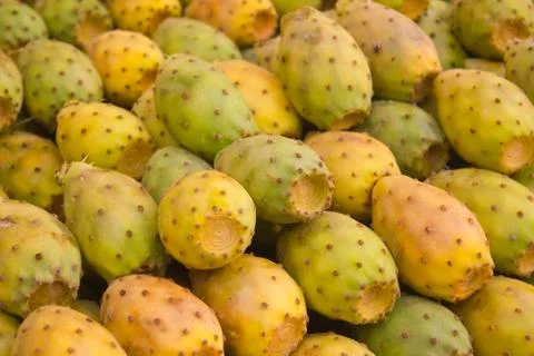 Prickly pear fruit Stock Photos