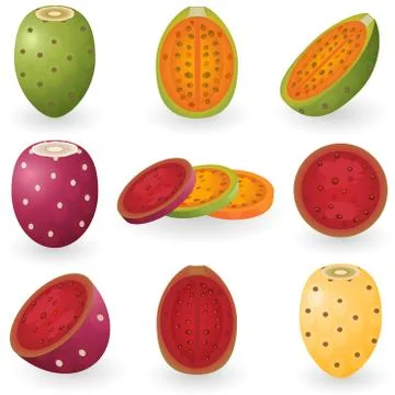 Prickly pear Stock Illustration
