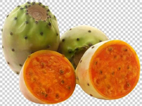 Prickly pear Stock Photos