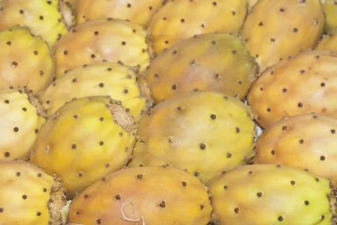 Prickly pears Stock Photos