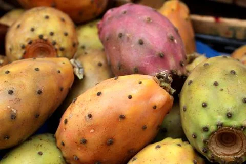 Pricly pears Stock Photos