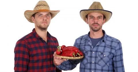 Pride Farmer Men Group Hold Bio Red Peppers Pile Garden Convinced Looking Camera Stock Footage 80068513